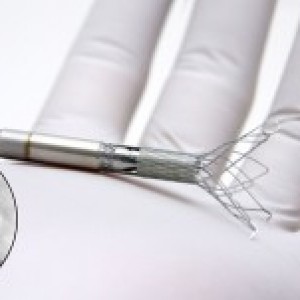 Aortix