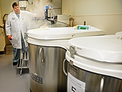 The Biorepository Core at THI