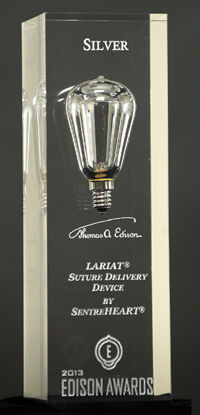 2013 Silver Edison Award for Dr. William Cohn 