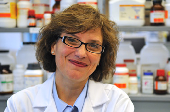 Doris Taylor, PhD, FAHA, FACC Doris Taylor, PhD, FAHA, FACC