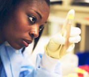 Cardiovascular Pathology Research