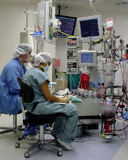 Perfusion Team at Texas Heart Institute Perfusion Team at Texas Heart Institute