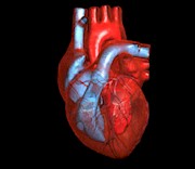Hypertrophic Cardiomyopathy clinical trial