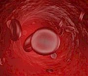 School of Perfusion Technology