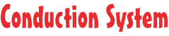 Conduction System Conduction System