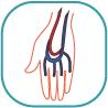 Watch Blood Vessels of Body