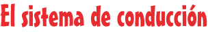 El sistema de conducción