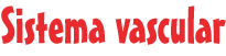 Sistema vascular