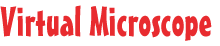 Virtual Microscope