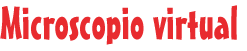 Microscopio virtual
