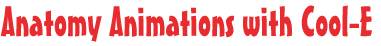 Anatomy Animations with Cool-E