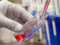 THI Regenerative Medicine Research Dept - BPL