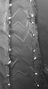 SEM image SEM image