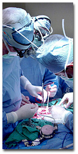 Operating room scene at the Cullen Cardiovascular Research Laboratories