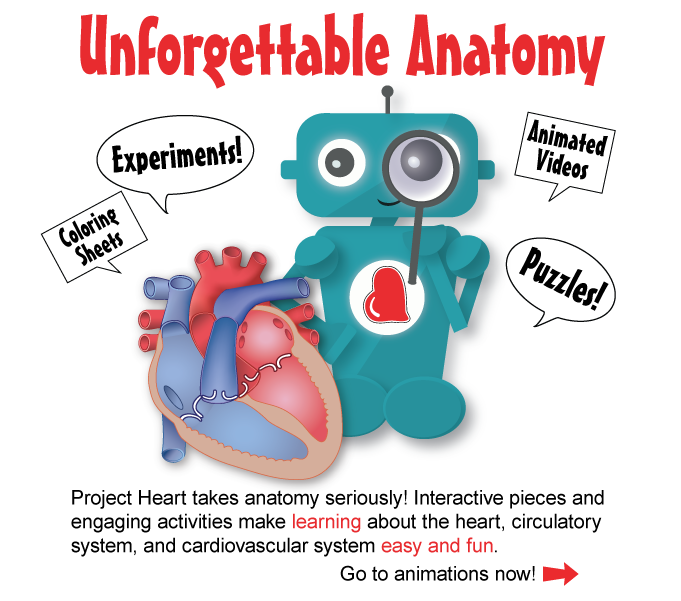 Unforgettable Anatomy