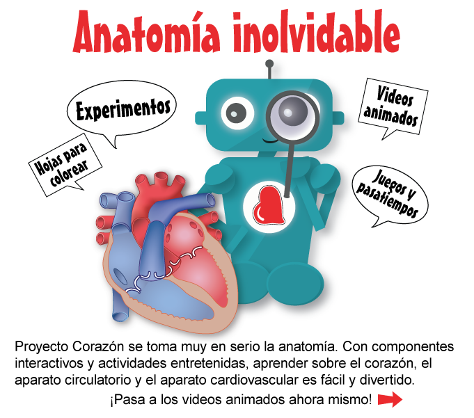 Anatomia inolvidable